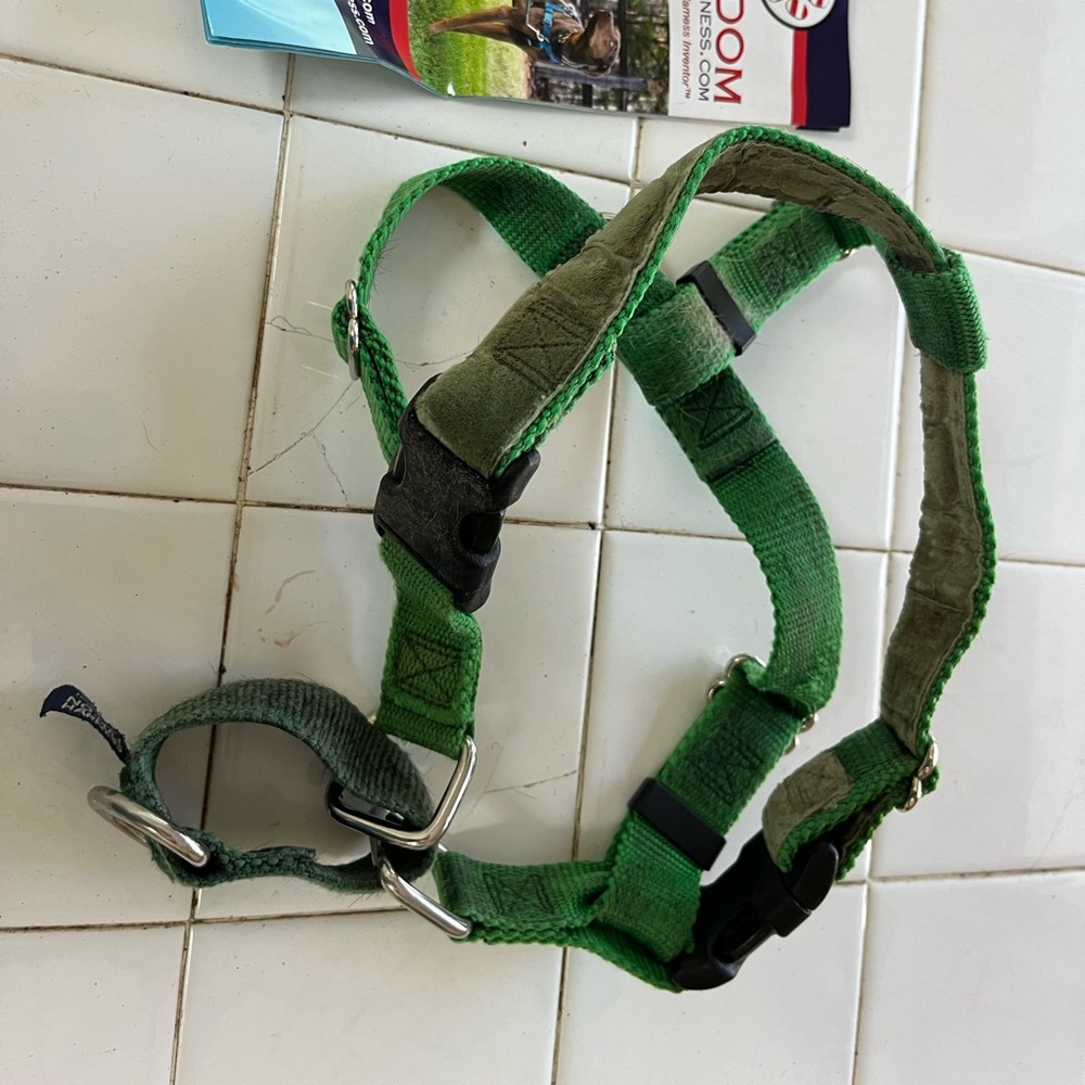 Freedom no pull dog harness